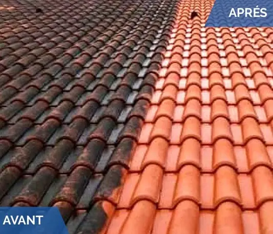 Nettoyage Toiture Façade Terrasse à Saujon